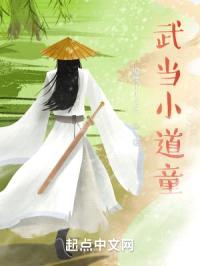 武当小道童封面