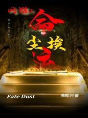 网游：命运尘埃封面