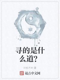 寻的是什么道？封面