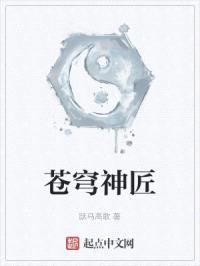 苍穹神匠封面