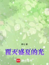 覆灭盛夏的光封面