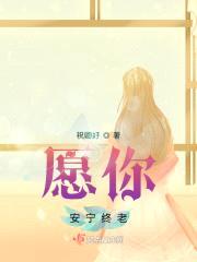 愿你安宁终老封面
