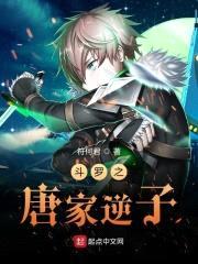 斗罗之唐家逆子封面