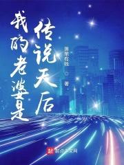 我的老婆是传说天后封面