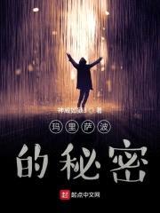 辐射：玛里萨波的秘密封面