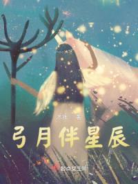 弓月伴星辰封面