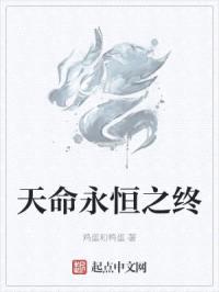 天命永恒之终封面