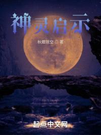 神灵启示封面