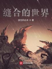 缝合的世界封面