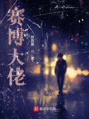 赛博大佬封面