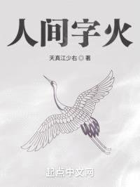 人间字火封面
