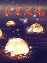 众星之魂封面
