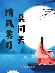 清风霁月莫问天封面