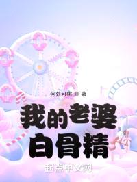 我的老婆白骨精封面