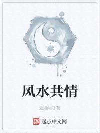 风水共情封面