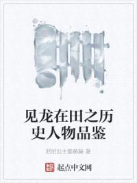 见龙在田之历史人物品鉴封面