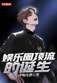 娱乐圈顶流的诞生封面