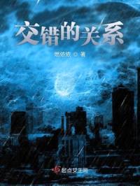 交错的关系封面