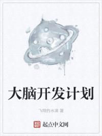 大脑开发计划封面