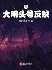 我，大明头号反贼封面