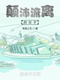 颠沛流离的日子封面