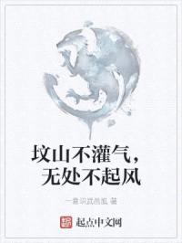 坟山不灌气，无处不起风封面