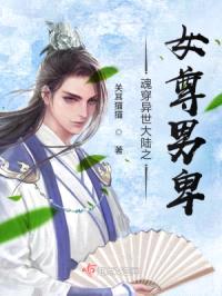 魂穿异世大陆之女尊男卑封面