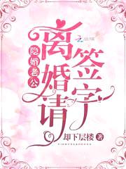 隐婚老公：离婚请签字封面