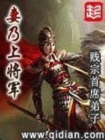 妻乃上将军封面