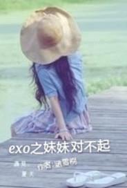 EXO之meimei对不起封面