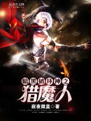 暗黑破坏神之猎魔人封面