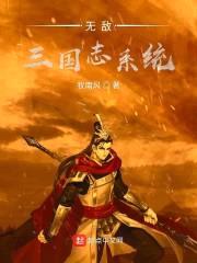 无敌三国志系统封面