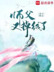 师父又掉线了封面